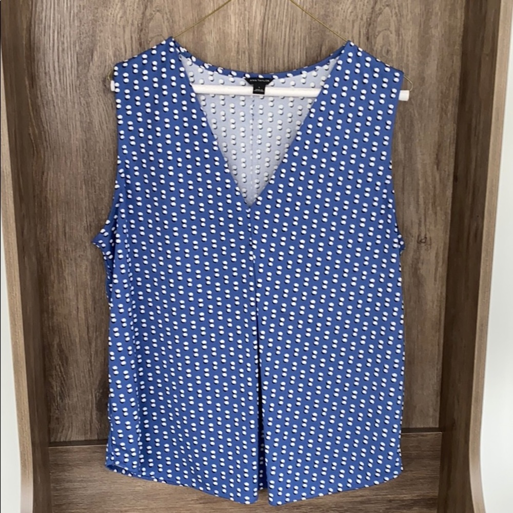 Ann Taylor Poly tank